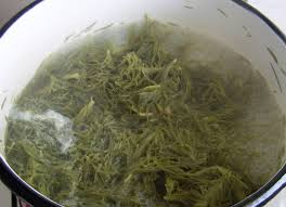 Mugurii de brad si cimbrisorul se aleg de codite, ramurele uscate, se verifica atent sa nu aiba ceva gandacei, se spala si apoi se lasa sa se scurga foarte bine pe servete din hartie. Reteta Sirop Din Muguri De Brad