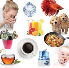Is Drinking Distilled Water Your Best Option? — Watersmart