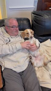 Fergus McBurgus #greenscreenvideo