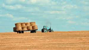 The details of a product or service, the market for that product or service, and the management of the business providing that product or service). Farm Agriculture Business Plans