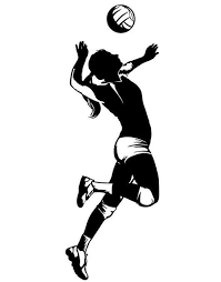 Resultado De Imagen Para Player Volleyball Funny Volleyball Shirts Ideas Of Funny Volleyball Shirts Ideas Of Funny Pallavolo Allenamento Pallavolo Immagini