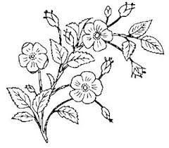 Black And White Clipart Images Of Flowers Image Result For Black And White Flower Clip Art Flower Line Drawings Clip Art Vintage White Flower Clip