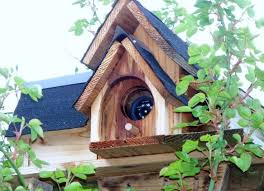Hides Security Camera But Can Become A Bird House Or Yard Decor Diy Home Security Wireless Home Security Home Security Tips