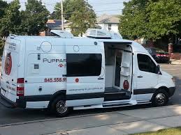 Over 20 years ago, the bono family got their first family pet, that was the start of it all. Pin By Jessica Adorno On Things I Love Pet Grooming Shop Pet Grooming Business Dog Grooming Shop