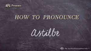 How To Pronounce Astilbe Astilbe Pronunciation Youtube