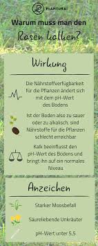 Bei wasserhahn und duschkopf hilft. Rasen Kalken Wann Wie Gleichzeitiges Dungen Plantura Rasen Gruner Rasen Gartenkalk