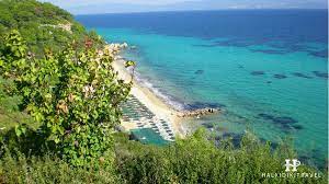 Check spelling or type a new query. Paralia Neas Fwkaias Halkidikitravel Com