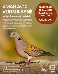 ege doga kuslari egedogakuslari twitter