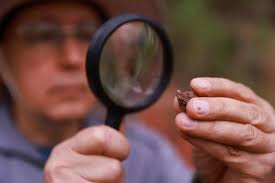 Foothills Caring Corps receives $35K grant from Nina Mason Pulliam  Charitable Trust