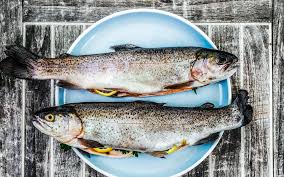 eating fish during pregnancy is it safe