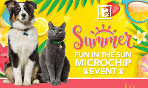 Maybe you would like to learn more about one of these? Event Archives Oklahoma Animal Alliance