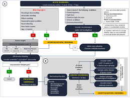 Viruses are a very infectious and frequent cause of diarrhoea and vomiting in the community and can be responsible for large outbreaks on cruise ships, schools. Algorithm For The Management Of Acute A And Prolonged Diarrhoea B Download Scientific Diagram