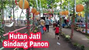 Kunjungan paling banyak di hutan trembesi ini adalah saat hari libur atau akhir pekan. Jalan Jalan Ke Hutan Jati Sindang Panon Kab Tangerang Tiketnya Murah Meriah