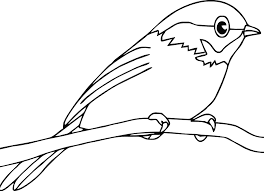 Check out 20 cute bird coloring pages printable for your kids here here is a coloring sheet of a robin, the bird famous for laying bright, blue eggs. Robin Coloring Pages Best Coloring Pages For Kids