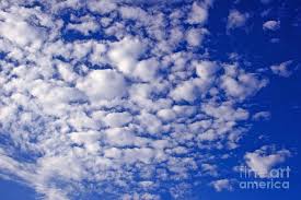 Low clouds, 2 to 0 km (6,500 to 0 feet), are stratocumulus, stratus, and nimbostratus. Altocumulus Clouds Photograph By Kenny Bosak
