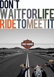Biker couple motorcycle couple motorcycle outfit harley davidson quotes harley davidson motorcycles harley bikes victory motorcycles indian motorcycles easy rider. Pin By Shoreline Harley Davidson On Biker Quotes Inspiration Harley Davidson Harley Biker Quotes Inspiration