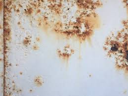 Free for commercial use no attribution required high quality images. Bumpy White Paint From Corroded Metal Free Textures