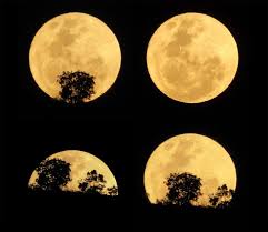 You're just going to have to figure out the rest for yourself! Prepare Your Soul And Espiritu For The March 28th Full Moon Belatina