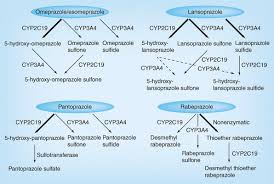 Check spelling or type a new query. Update On The Pharmacogenomics Of Proton Pump Inhibitors Pharmacogenomics