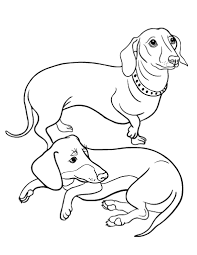 One of the pictures that are shown in the coloring pages book of happy birthday is happy birthday cake. Free Dachshund Coloring Page Dog Coloring Page Puppy Coloring Pages Animal Coloring Pages