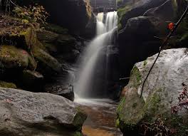 While we were traveling the natchez trace parkway the week before last, we detoured south of florence 45 minutes into a town call phil campbell. Dismals Canyon Tennessee River Valley