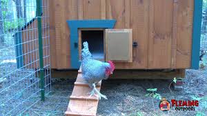 The perfect traits of a diy chicken coop. Automatic Chicken Coop Door Opener Youtube
