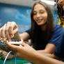 Brazil Advances Digital Culture and Robotics in Education with Dia D da Tecnologia and National Robotics Olympiad