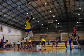 Campeón (3):2002, 2006, 2010 2. Volei Brasil