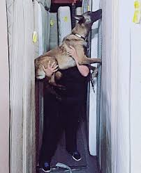 Always rely on around the clock pest control to be there! Photo Gallery Pest Industry Canines On The Job