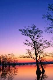 Maybe you would like to learn more about one of these? Free Download Nice Landscape Iphone 4 Wallpaper 640x960 For Your Desktop Mobile Tablet Explore 50 Nice Iphone Wallpapers Iphone Wallpaper Stills Cool Iphone 4 Wallpapers Nice Iphone Wallpaper Software Download