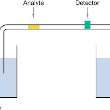 A Schematic Diagram Of A Basic Capillary Electrophoresis