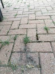 How To Grow Moss Between Flagstones