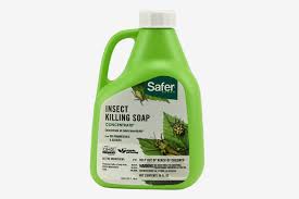 9 Best Natural Pest Killers 2018 The Strategist New York Magazine