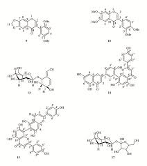Image result for Ochna schweinfurthiana