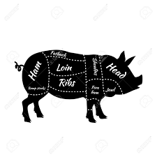Pork Or Pig Cuts American Us Cuts Of Pork Barbecue Illustration