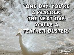 Proverb Birds Of A Feather Flock Together Quotes Sayings And Quotes About Peacocks To Save A Photo To Your Pc Left Click On Thumbnail Above Feather Quotes Peacock Quotes Quotes