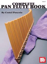 A Zcomplete Pan Flute Book Sponsored Flute Book Pan Download Ad Pan Flute Flute Books