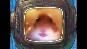 Hamster stares at camera meme. Hamster Staring At Face Camera Meme Youtube