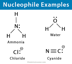 Nucleophile: Ambident Nucleophiles, Types & Mechanisms