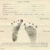 Difference between birth certificate and certificate of live birth the united states federal government may not take your certificate of live birth for passport purposes either. 3