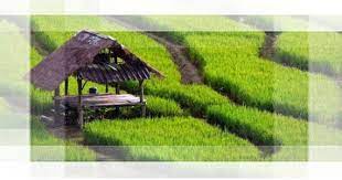 Contoh soal tkb pertanian pdf. Free Download Soal Cpns Tkb Pertanian Hanibi