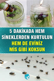 Begendiklerim Panosundaki Pin