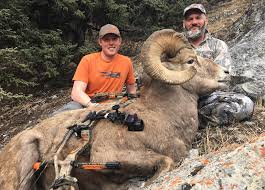 With their unique padded hooves, bighorns are able to climb the steep, rocky terrain of desert mountains with speed and agility. A Breakdown Of All Four Sheep Species Gohunt