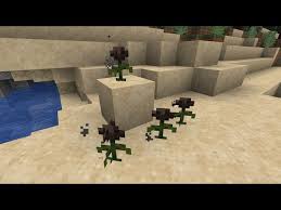 Bees in minecraft is the cutest thing we've ever seen. Wither Rose In Minecraft Everything Players Need To Know