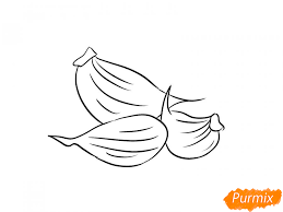 Zub narisovat kak narisovat zub zuby karandashom poetapno artist ojl. Kak Narisovat Chesnok Poetapno 5 Urokov