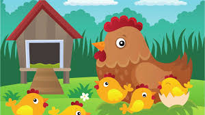 Automatic Feed-O-Matic Treadle Feeder For Chickens