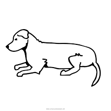 Cao Deitado Desenho Para Colorir Ultra Coloring Pages