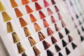 Closeup Of Hair Samples With Different Color Shades On A D2012_157_004