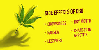 Mary s elite remedy oil tincture cbd only how much cbd oil to take for nausea. 9 Side Effects Of Cbd Oil Is Cbd Safe To Use