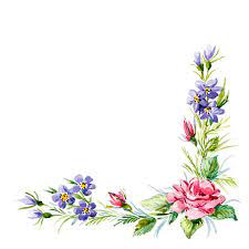 Cercare la migliore selezione di angolo dei fiori produttori e prodotti italian economici e di alta qualità angolo dei fiori a alibaba.com per italian speaker mercato in alibaba.com. Foto Angolo Fiori Immagini E Vettoriali